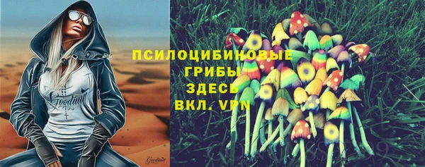 прущая мука Алзамай