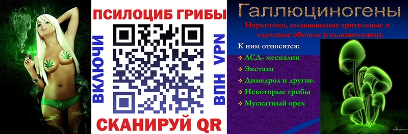 Псилоцибиновые грибы прущие грибы  Нюрба 